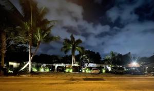 um parque de estacionamento com palmeiras à noite em The Agustin Guesthouse - Men Only Clothing Optional em Fort Lauderdale