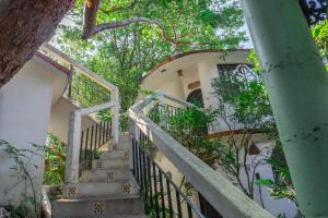 una escalera que conduce a una casa con árboles en Hotel Paraíso Encantado, en Xilitla