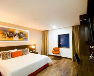 TV a/nebo společenská místnost v ubytování Hotel Royal Elim International