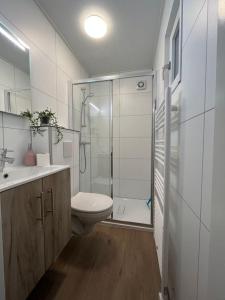 a bathroom with a shower and a toilet and a sink at Moderne chalet met airco in Blankenberge in Blankenberge