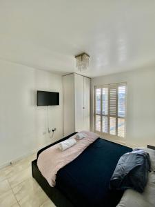 1 dormitorio con 1 cama grande y TV en Charmingly cozy 2 beds apartment, en Belvedere