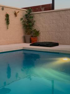 a swimming pool with blue water and a plant at Casa Rural Alaejos in Alaejos