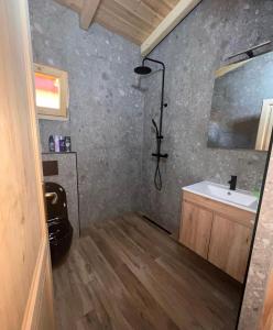 a bathroom with a sink and a shower at GOLD FISH in Gornji Štoj