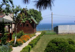 a garden with a house and the ocean in the background at Pensiunea Sapte Pini in 2 Mai