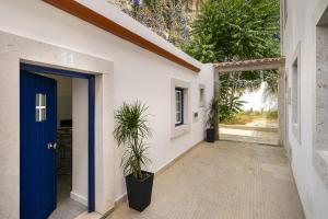 a hallway with a blue door and a plant at WHome Urban Escape: 1-BR w/mezzanine near Campo Ourique in Lisbon