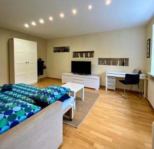TV a/nebo společenská místnost v ubytování Smelte Studio Apartment