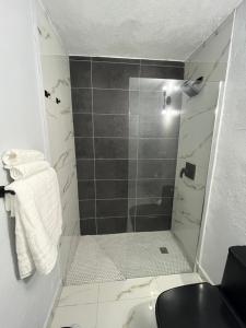 a bathroom with a shower with a glass door at Molino’s House 2 in Santa Isabel