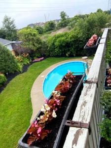 Poolside entire lower level apt في وايتباي: حديقة بها مسبح وزهور على سياج