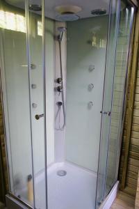 El PeñolにあるHospedaje Rural POTOSIのバスルーム(ガラス張りのシャワー付)が備わります。