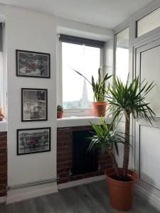 a living room with a fireplace and two potted plants at Amazing view 2 bedroom in Abbey Road in London