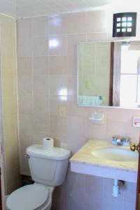 a bathroom with a toilet and a sink and a mirror at Hotel Virginia in Oaxaca City