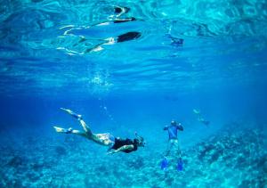 un groupe de personnes nageant dans l'eau dans l'établissement Katiet Beach Resort Mentawai Lances Right HTS, à Katiet