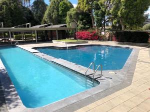 a large swimming pool with blue water at Tauranga Homestead Retreat in Tauranga