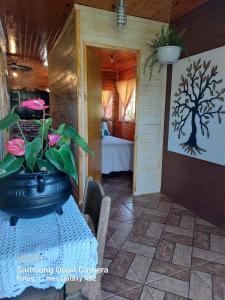 烏魯比西的住宿－Casa de Sítio Rancho crioulo，一间有桌子的房间,上面有盆栽植物