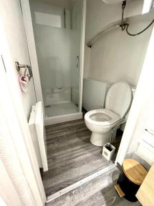 ein Badezimmer mit einem weißen WC und einer Dusche in der Unterkunft La Cornaline in Vesoul