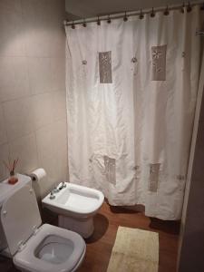 y baño con aseo y cortina de ducha. en Terra1 en San Carlos de Bariloche