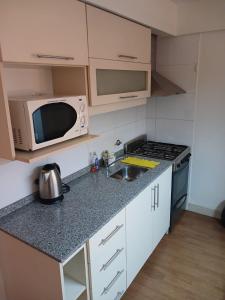 uma pequena cozinha com um micro-ondas e um lavatório em Terra1 em San Carlos de Bariloche