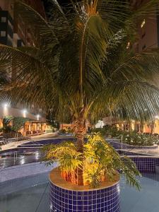 a palm tree in a building with a pool at Olímpia Park Resort - Apto 2 Quartos 8 Pessoas in Olímpia