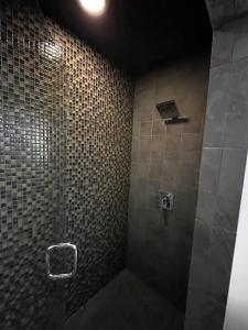 y baño con ducha y paredes de azulejos. en Luxury 2 Bedroom Apt With Exposed Brick Downtown en Roanoke