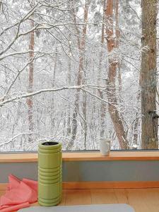 Gallery image of Hakuba Arboretum — Luxury Chalet in Forest Setting in Hakuba
