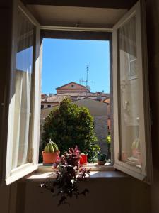 Fotografie z fotogalerie ubytování Pigiotto v destinaci Pesaro