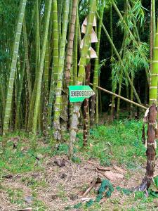 Фотография из галереи Eco Hotel La Selecta Pereira в городе Перейра +134 фотографии