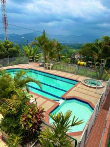 uma piscina num resort com palmeiras em Eco Hotel La Selecta Campestre em Pereira