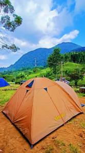 ein orangenes Zelt auf dem Boden auf einem Feld in der Unterkunft Gunung bangku ciwidey rancabali camp in Ciwidey