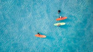 a group of three surfers in the water with their surfboards at My House in Vashafaru