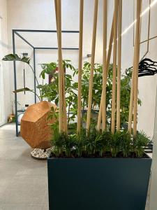 Fotografie z fotogalerie ubytování FICOPALA SUITES v destinaci Siracusa