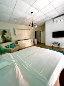 a large white bed in a room with a tv at Dushi Apartments in Willemstad