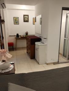 a bathroom with a sink and a counter in a room at BED AND BREAKFAST- Alto La Viña- SUITE in San Salvador de Jujuy