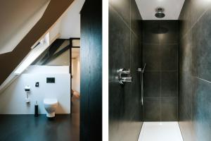 Texels Goud Deluxe Suites في دن بورخ: حمام مع دش ومرحاض