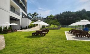 Gallery image of Hillsnorkelbeach hotel in Samcheok +31 photos