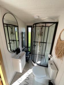 a bathroom with a toilet and a sink and mirrors at Pļavas vidū - romantiska brīvdienu māja in Matīši