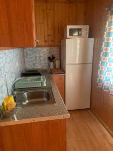 a kitchen with a sink and a white refrigerator at tranquilidad y en contacto con la naturaleza in Barahona