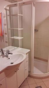 ein weißes Bad mit einem Waschbecken und einer Dusche in der Unterkunft Houses and Apt in Smarjeske Toplice Kranjska Krain 26042 in Smarjeske Toplice