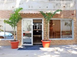 two potted trees in pots outside of a store at Fatmols Hotels in Lusaka