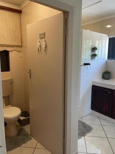 a bathroom with a toilet and a shower stall at Beytell's Nest in Richards Bay