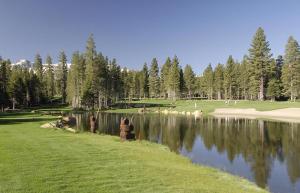 a group of people standing next to a body of water at #469 - Pet-Friendly Mountain Condo, Pool & Spa in Mammoth Lakes