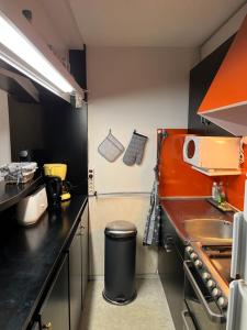 a small kitchen with a sink and a stove at 7 couchages et bébé au pied des pistes in Besse-et-Saint-Anastaise