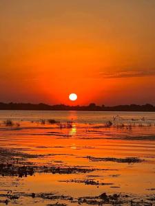 Fotografie z fotogalerie ubytování Casa Badea v destinaci Murighiol