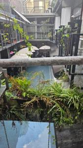 a balcony with a pool of water and plants at Mingle Highstreet in Kuala Lumpur