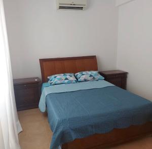 1 dormitorio con 1 cama con sábanas azules y 2 almohadas en The T Villa, en Protaras