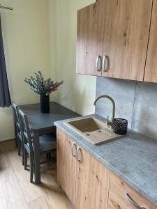 Kuchyň nebo kuchyňský kout v ubytování Apartmány Zaky
