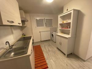 een kleine keuken met een wastafel en een koelkast bij Appartamento Giotto in Cento