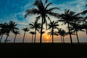 a group of palm trees on the beach at sunset at The Five Villas & Resort Quangnam - Danang in Hoi An