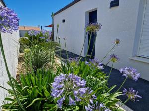 Vonkajšia záhrada v ubytovaní Maison récente 4* proche plage avec SPA privatif + 2 fotografie