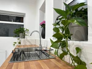 a kitchen counter with a dish drying rack and a plant at Luxury apartment on Anfield in Liverpool