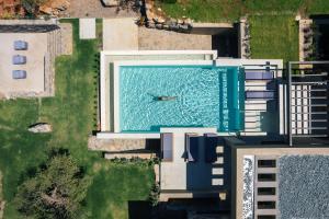 an overhead view of a swimming pool with a dolphin in the water at Villa Katy in Agios Nikolaos